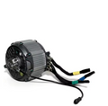 VTB Ventus Bikes Newest Beast-Motor 28kw For Surron Light Bee (Color: Light Bee 28KW F)